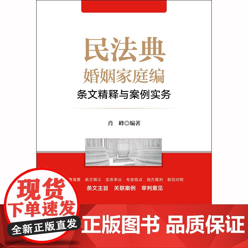 民法典婚姻家庭编条文精释与案例实务 肖峰 著 法律高清大图