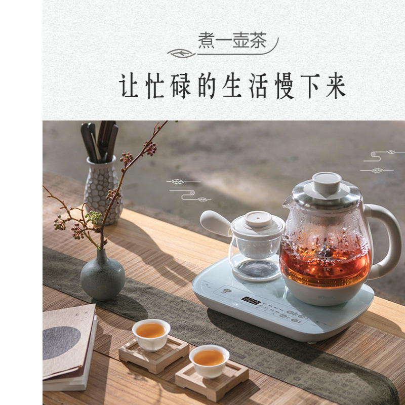 小熊(Bear)煮茶器煮茶壶 0.8L蒸汽喷淋式养生壶电水壶ZCQ-A08E1