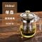 加厚防爆玻璃茶壶不锈钢过滤煮茶器花茶壶家用泡茶壶套装功夫茶具 350毫升金珠壶