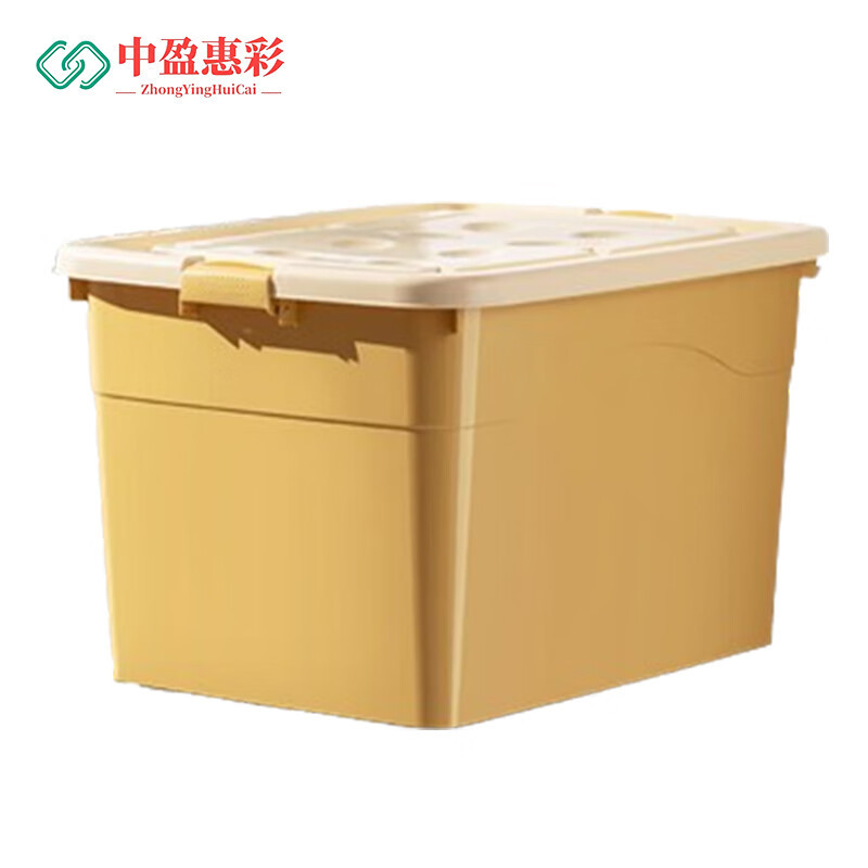 中盈惠彩 收纳箱 HCSNX005 62x46x39cm 个