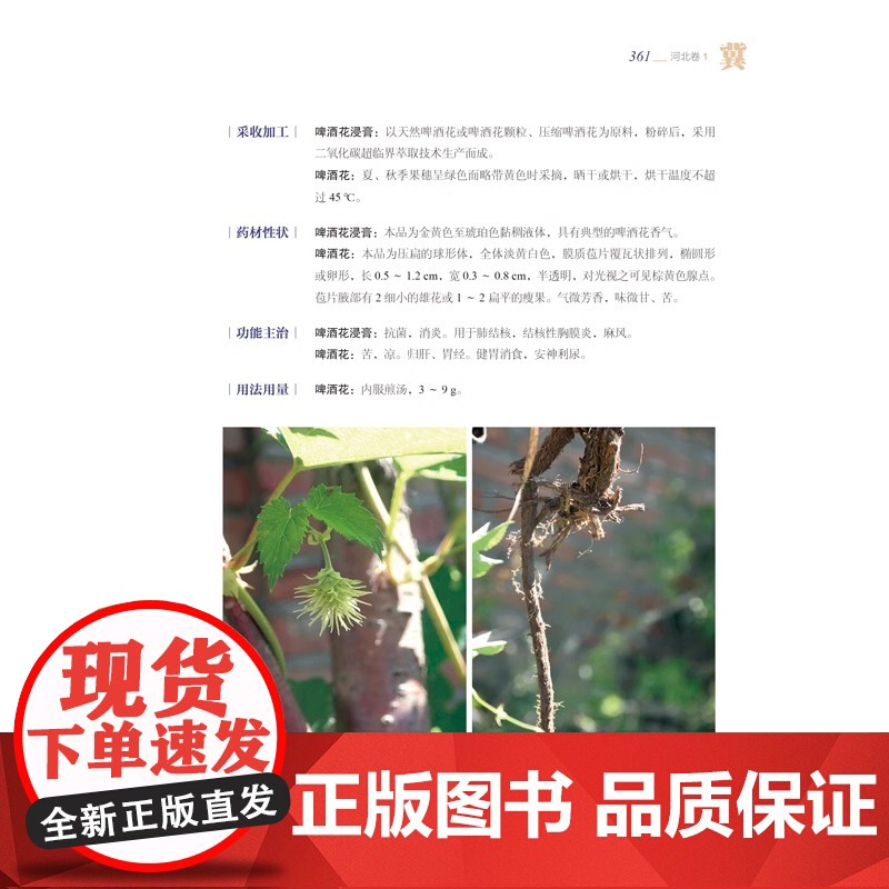 DF[央视网]中国中药资源大典 河北卷 全23册 中医中药学 BJ高清大图