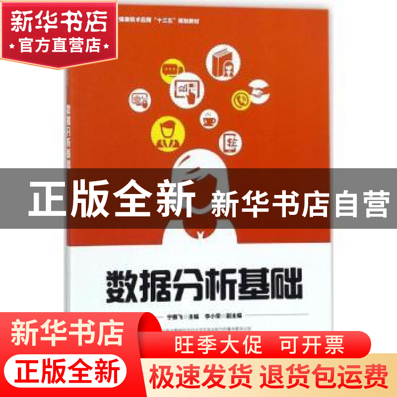 正版 数据分析基础 宁赛飞 人民邮电出版社 9787115475282 书籍高清大图