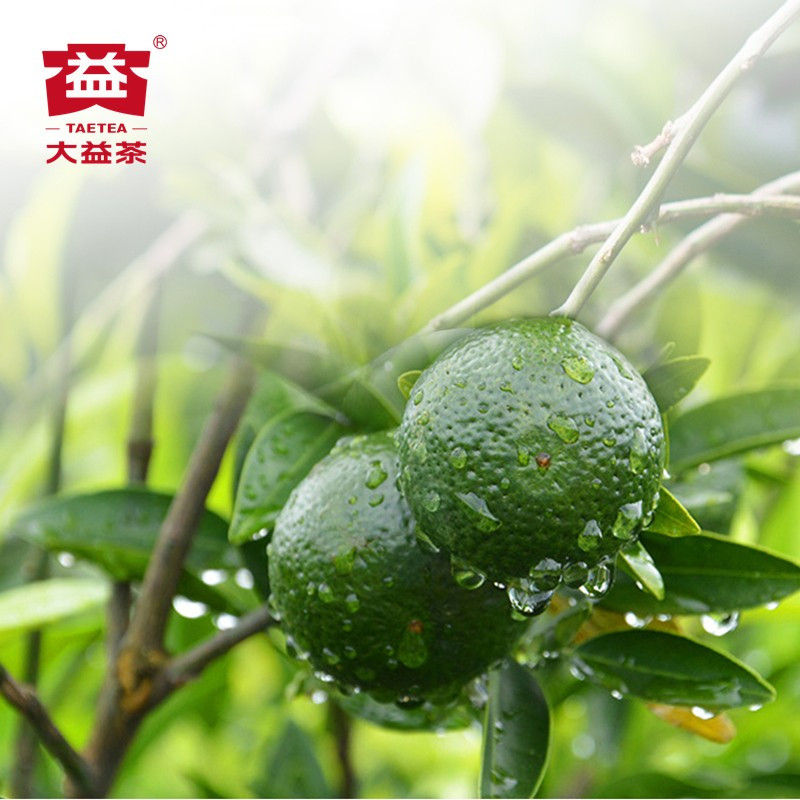 大益普洱茶小青柑200g罐装益粒醇新会小青柑20202021年金柑普