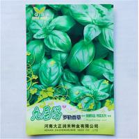 可食用九层塔种子种籽紫罗勒阳台四季盆栽台湾金不换香草九成塔孑