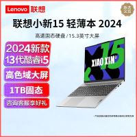 联想(Lenovo)小新15 13代酷睿标压i5 轻薄笔记本电脑(i5/16G内存/1TB固态/定制/15.3英寸) 霜雪银 学生办公设计游戏网课本