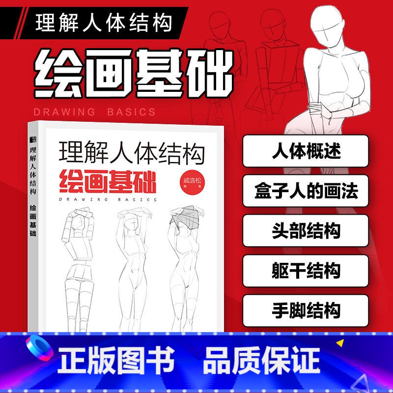 [正版]理解人体结构 绘画基础 戚浩松 人体结构绘画人体形态素描速写艺用速写人像解剖技法游戏动漫人体结构手绘临摹书高清大图