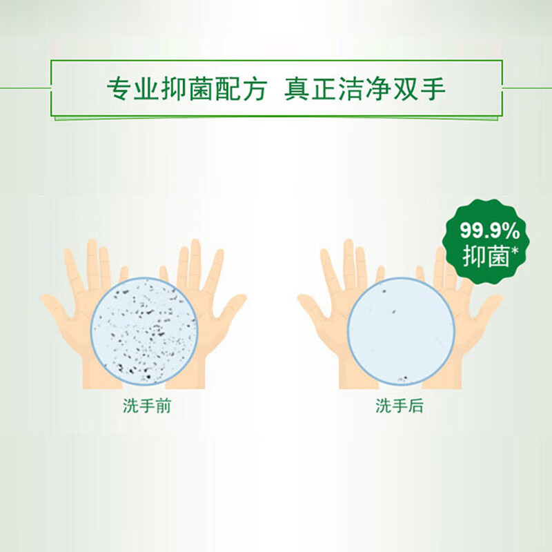 蓝月亮 芦荟抑菌99.9%泡沫丰富洗手液 500g瓶*2+500g补充装*2高清大图