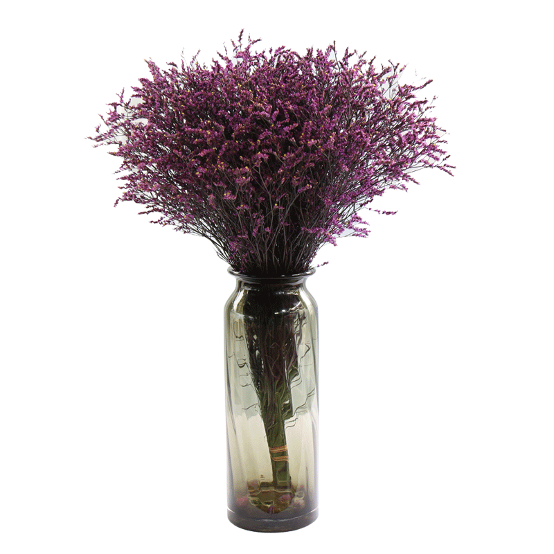 【家装节】※水晶干花装饰家居摆设长款摆件55-60cm满天星论斤卖ins红