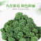 半山农 三七花茶 四年花 云南文山田七茶花 当季新花 花苞大无碎 160g/瓶