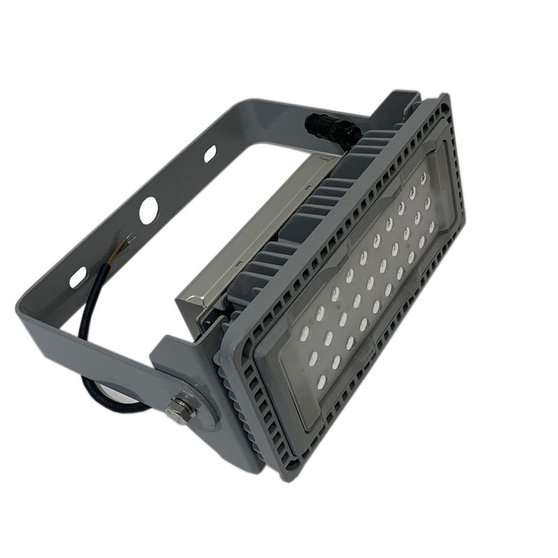LHDQ 领航电器 LHF2390 LED投光灯 100W 220V 冷光 IP65高清大图