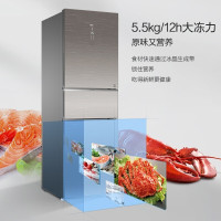 Haier/海尔冰箱三门变频风冷无霜电冰箱大容量BCD-256WDGR