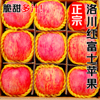 冠町 陕西洛川苹果 小果10斤装(净重约8.5斤70-75mm)新鲜水果生鲜