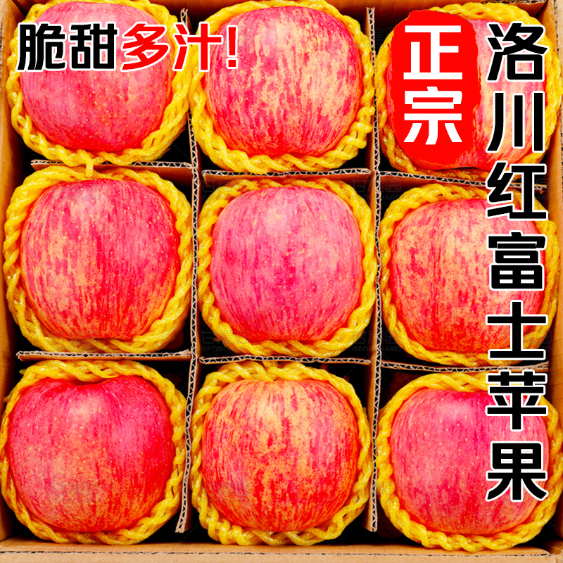 冠町 陕西洛川苹果 小果10斤装(净重约8.5斤70-75mm)新鲜水果生鲜