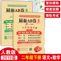 包邮 2019春 *AB卷小学二年级下册语文数学试卷人教版与2年级下册语数RJ课本课堂同步试卷ab卷单元测试卷子期中期末