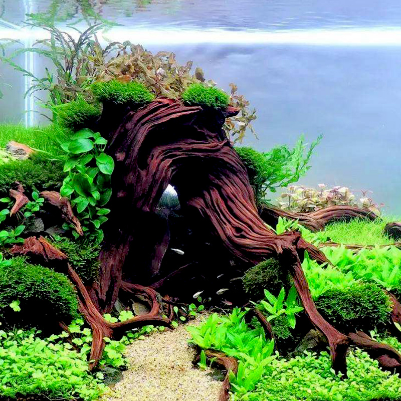 水基肥缓释基肥底肥鱼缸铺底肥料水族箱造景底砂水有机基肥砂_1 默认尺寸 默认颜色