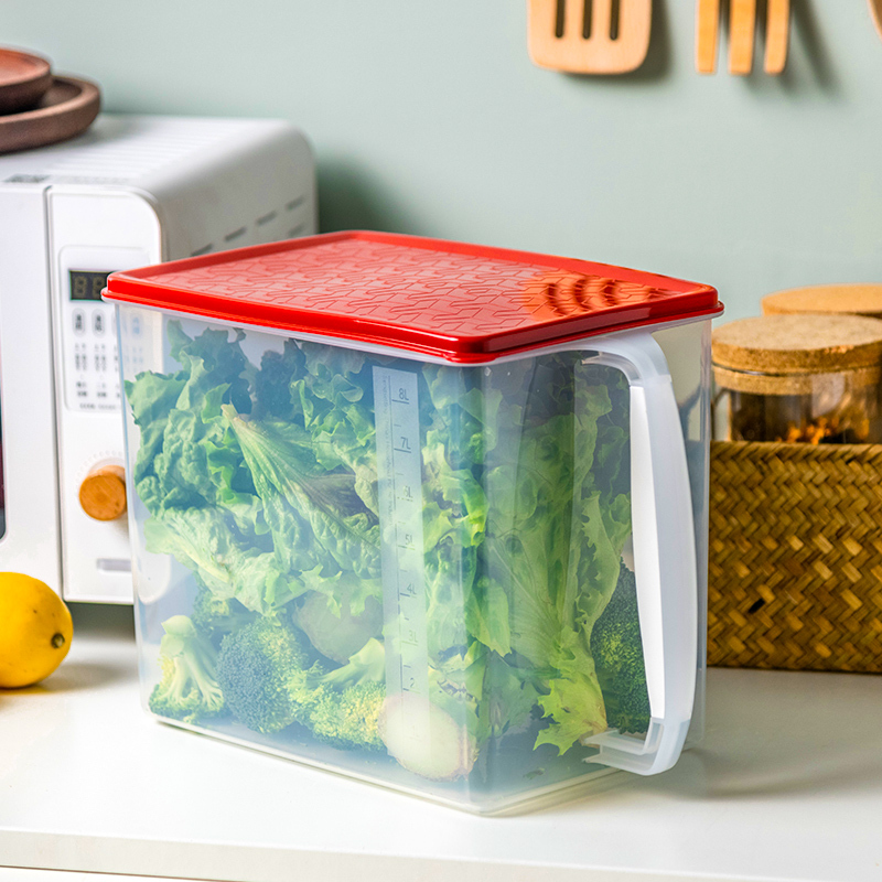 禧天龙citylongh4049冰箱收纳盒51l3