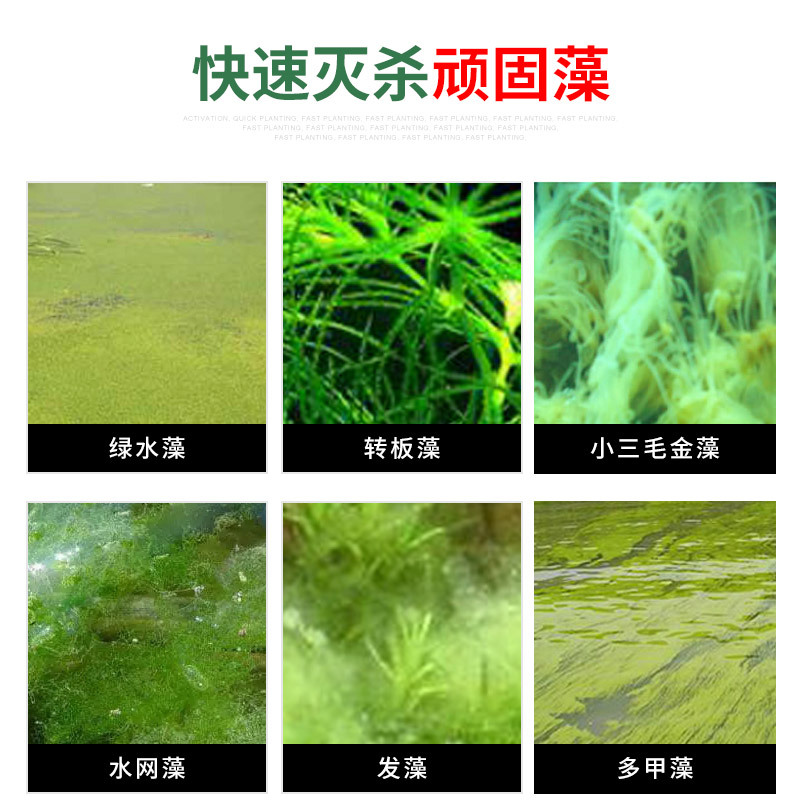 鱼池除藻剂不伤鱼鱼缸除藻除青苔绿藻褐藻速杀净除苔剂顺丰高清大图