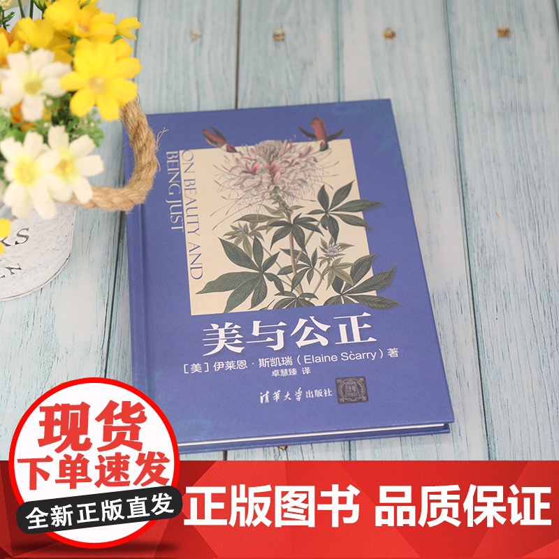 [正版]美与公正 伊莱恩·斯凯瑞 清华大学出版社 美学艺术哲学思想美学理论高清大图