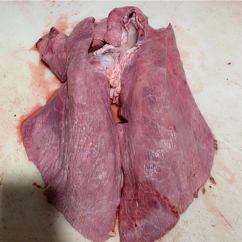 生牛肺5斤新鲜牛副非牛肉产发