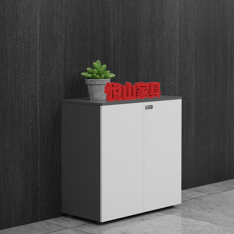 悦山密码锁资料柜YSOB202ZYZX-S0811高清大图