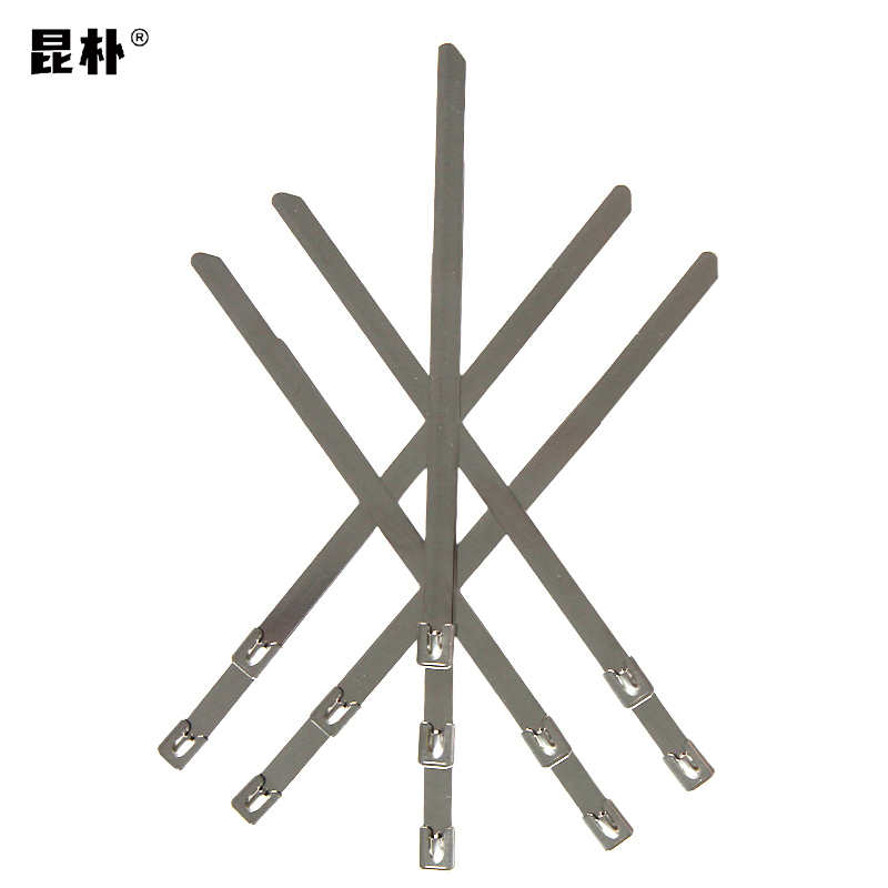 昆朴304不锈钢自锁扎带16*900mm B1690 根