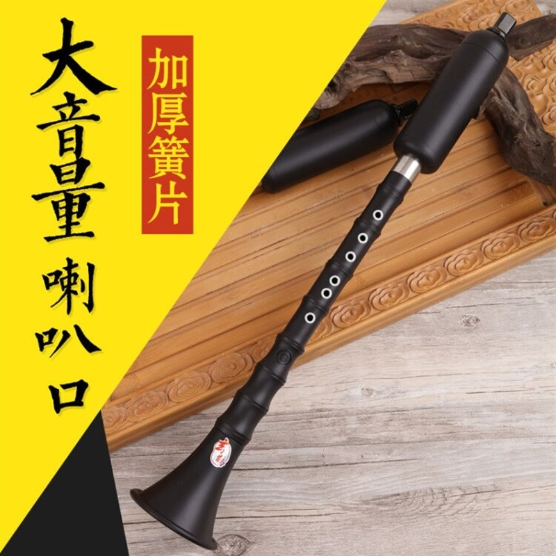竖吹专业大音量巴乌乐器gf调单管乐器(dc2)巴乌