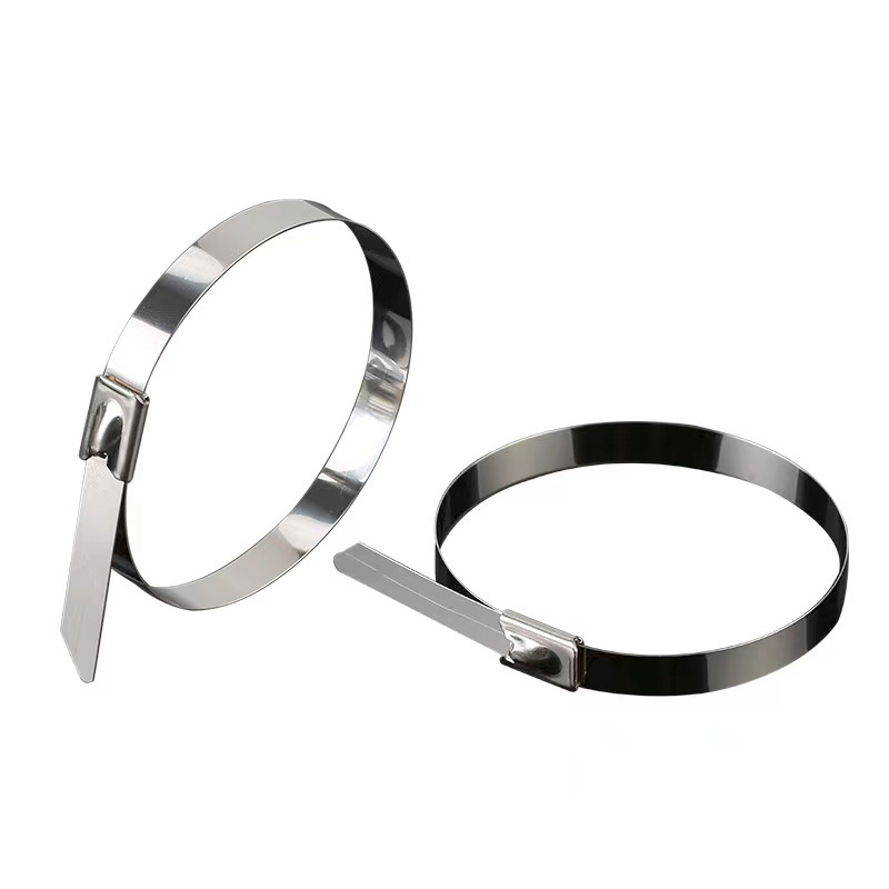 具安金 不锈钢扎带 4.6*250mm*100条 包高清大图