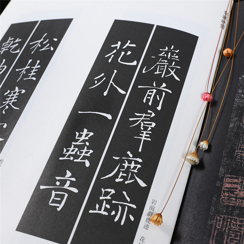 [正版] 字帖 中国书法传世碑帖 楷书05 褚遂良雁塔圣教序 毛笔书法练字帖经典碑帖原帖 成人初学者毛笔字帖高清大图