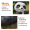 有康YK-70户外仿真动物熊猫摆件