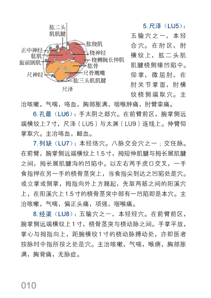 [醉染正版]正版 人体经络穴位速学图册 郭长青 中医养生书籍 人体穴位按摩全图解 筋络穴位速记手册 常见病症家庭按摩书高清大图