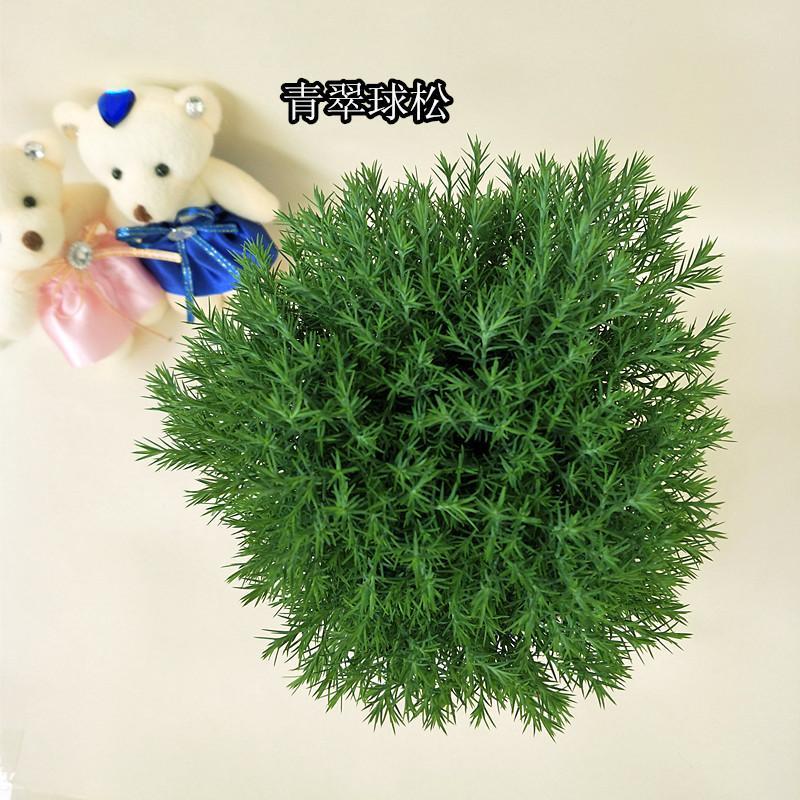 大蓬莱松球松刺柏绿植新奇盆栽办公室家居生肖驱蚊花卉盆景旺来松
