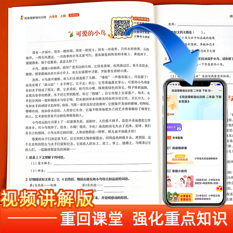 [全套2册]阅读理解+同步作文 六年级下 [正版]2024年小学语文阅读理解专项训练书人教版 一年级二年级三年级四五六年