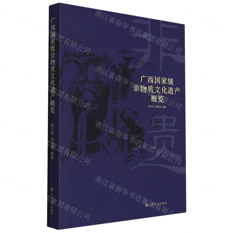 [N]广西国家级非物质文化遗产概览-9787532183814高清大图