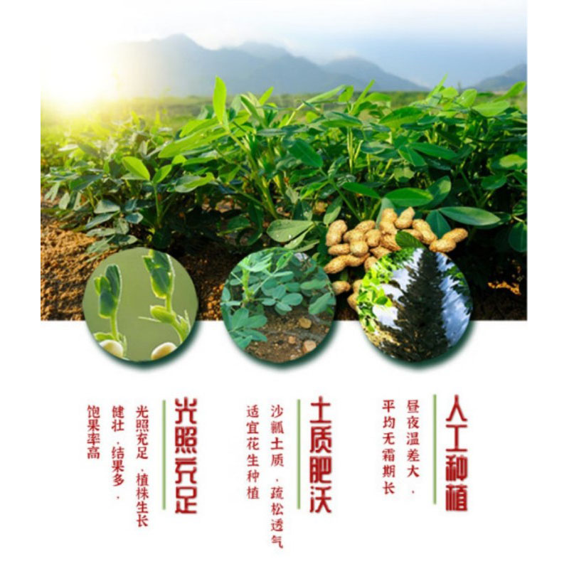 鲁王 古法压榨特香花生油 960ml LW0011 单位:桶高清大图