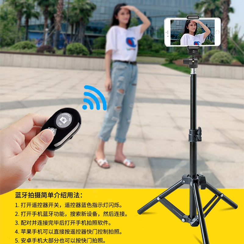intermail【落地款】-【160cm三脚架】-【双机位】-【6寸补光灯】