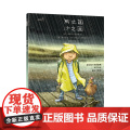 大眼睛童书绘本系列：雨之国 沙之国（正反书眼