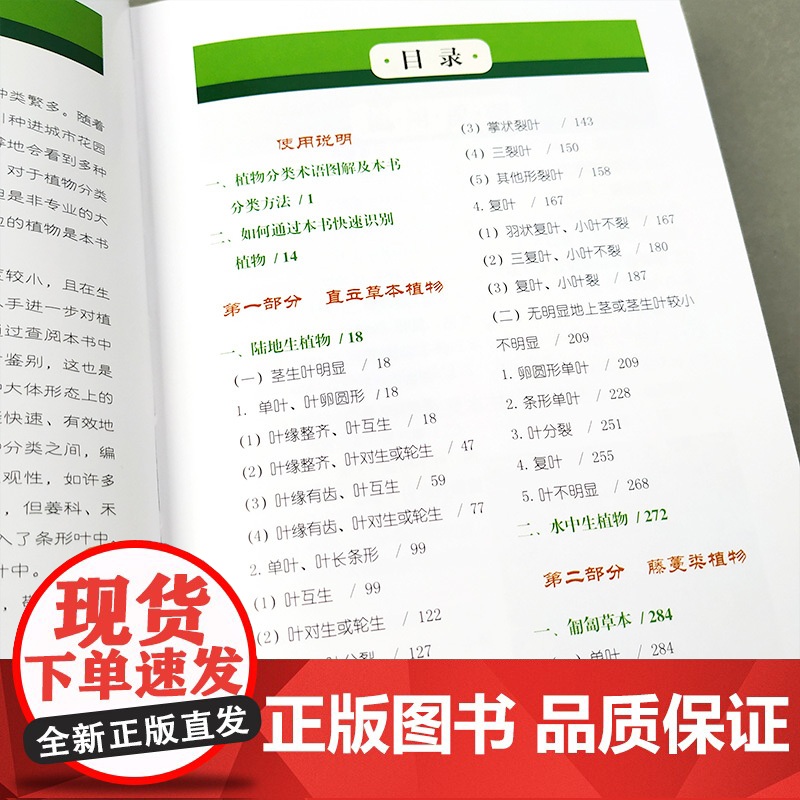 正版1000种常见植物野外识别速查图鉴 图解中草药大全 化学工业社 野外识别原植物鉴别图册中国常用手册 图识别与应用图典高清大图