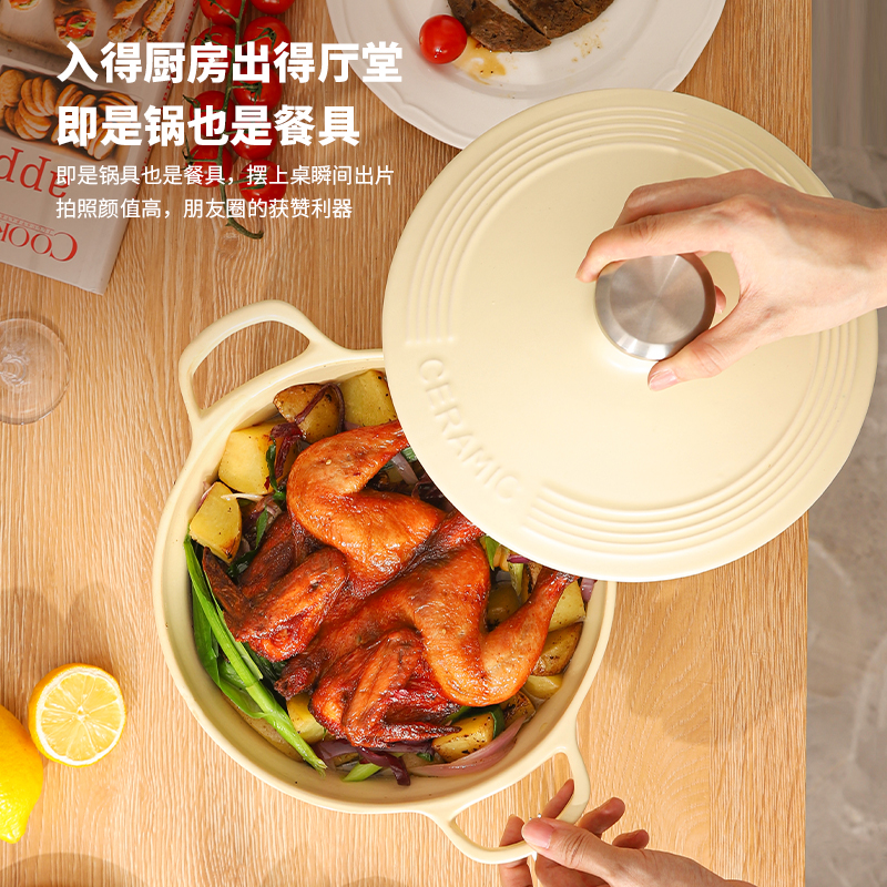 栢士德BYSTON丽达斯陶瓷砂锅BST-1025高清大图