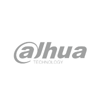 大华(alhua)网络摄像机DH-IPC-HDB5233C