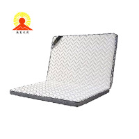 涵美大成 椰棕床垫1200mm*2000mm*100mm 个