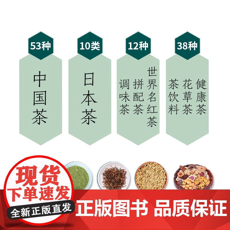 茶图鉴:从识茶到品茶 康菲 中国轻工业出版社 正版书籍高清大图