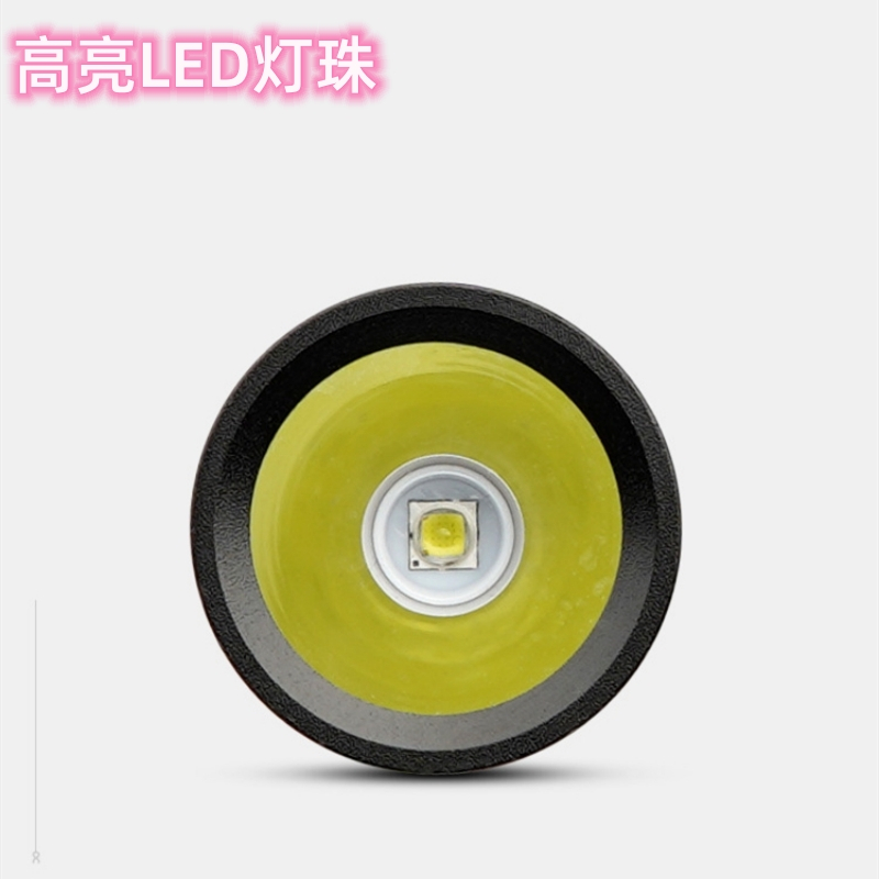 RDZM 微型强光电筒 RDZ3012 台高清大图
