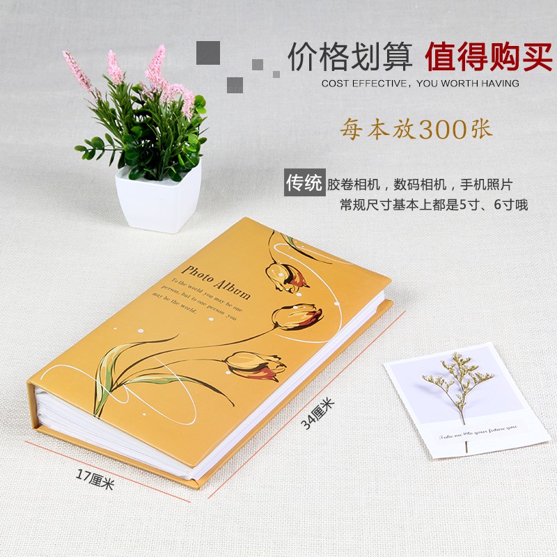 相册影集4R6寸相册300张插页式相薄居家老旧照片相簿过胶塑封 三维工匠高清大图