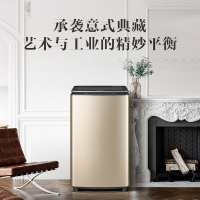 比佛利(BEVERLY) 9公斤全自动变频波轮洗衣机 水魔方防缠绕 紫外线杀菌 智能投放 智能家电 B1BV90IG