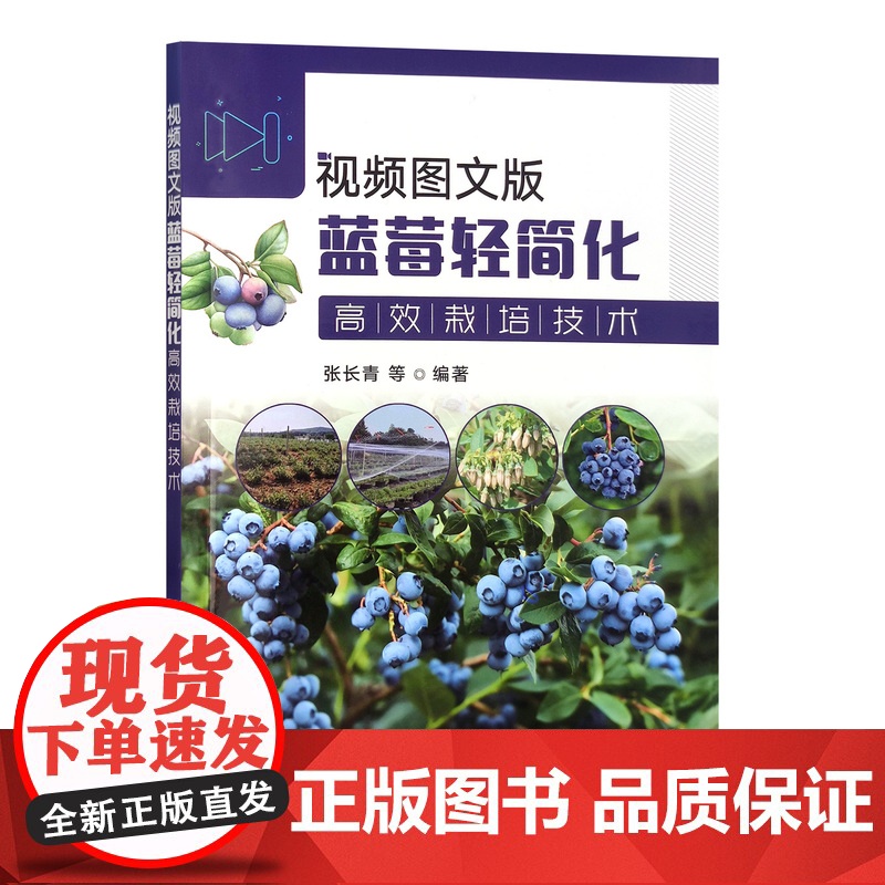 视频图文版蓝莓轻简化高效栽培技术 蓝莓栽培技术图谱视频指导9787109317178高清大图