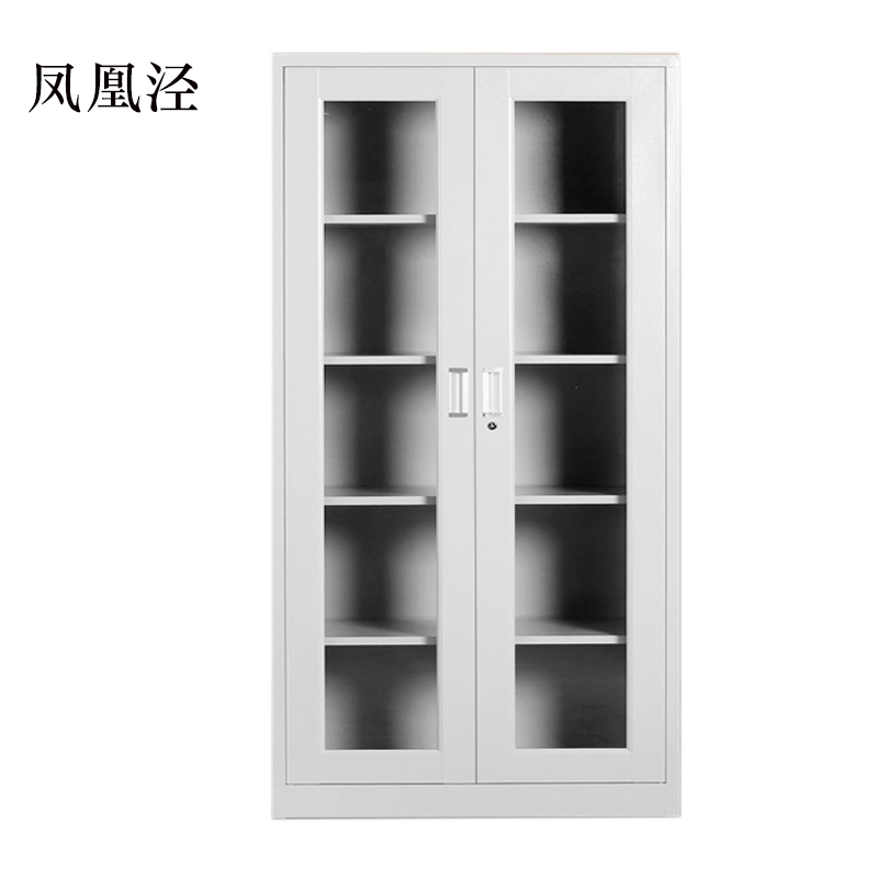 凤凰泾钢制档案柜财务凭证柜带锁储物柜铁皮柜书柜通玻对开门文件柜