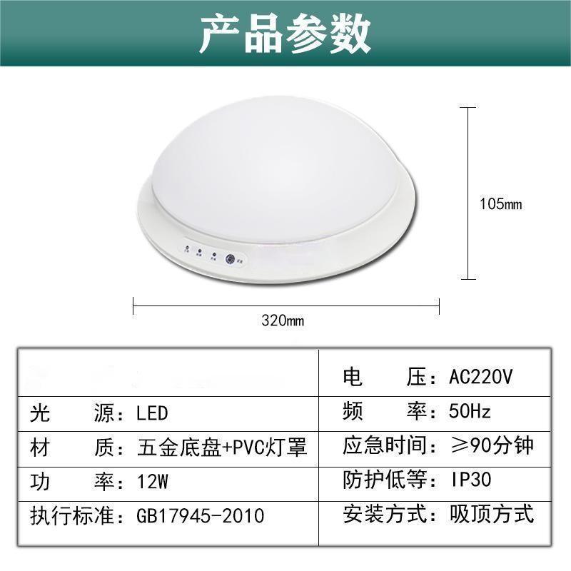 洛安斯 LED应急吸顶灯 12W 个高清大图