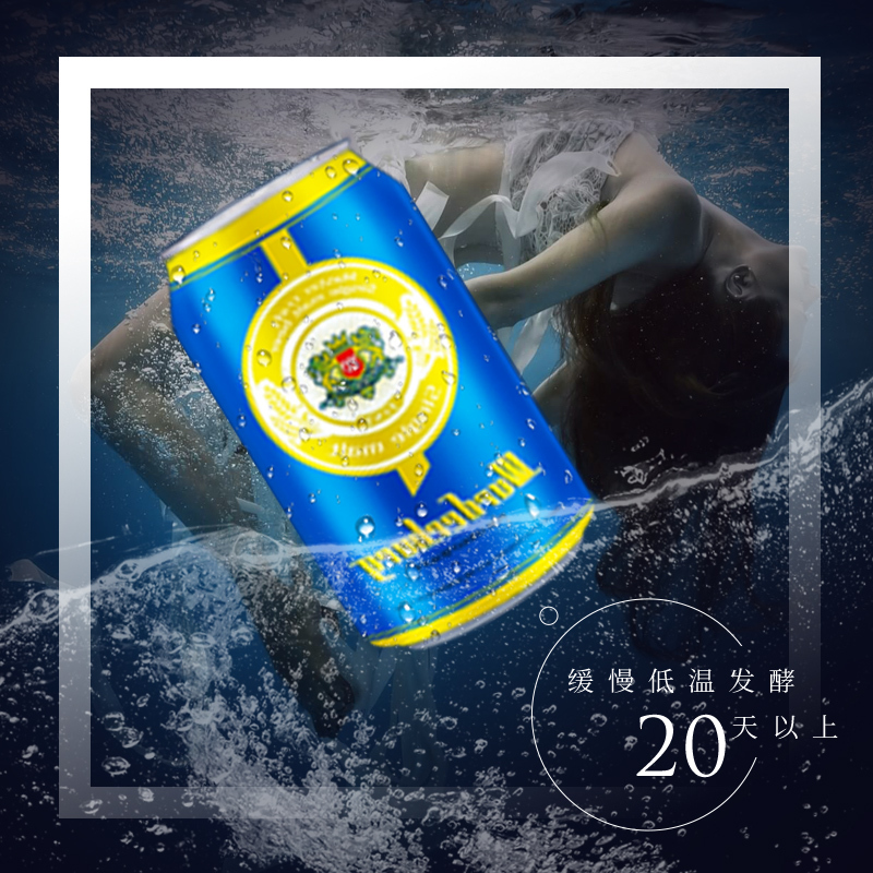 沃德古堡wurderburg 单一麦芽精酿啤酒320mL*24听国产整箱装原浆清澈型