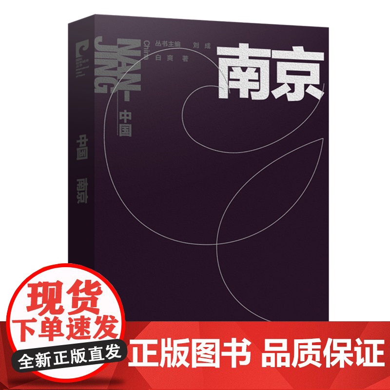 国际和平城市丛书 中国 南京 中文版 南京师范大学出版社高清大图