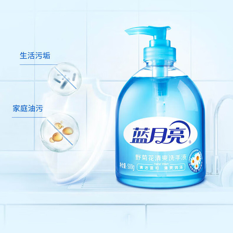 蓝月亮洗手液套装500g*2瓶温和洁净10002096(包装随机)高清大图